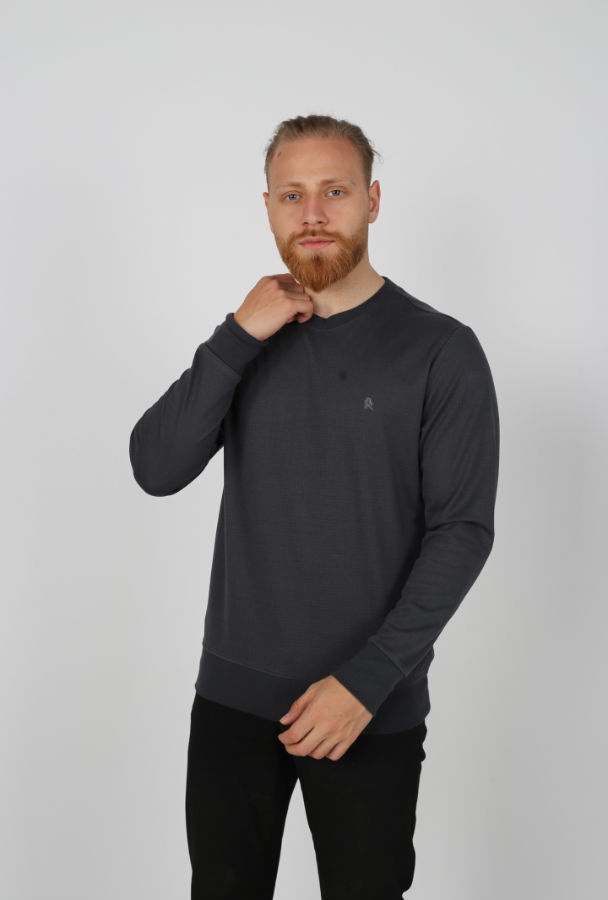 Resim BRANGO T-SHIRT FÜME